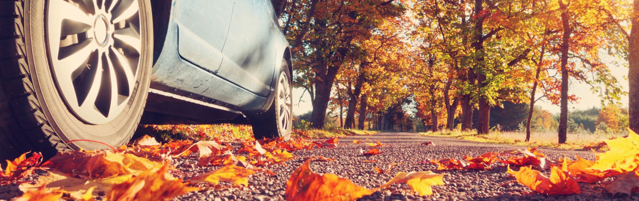 Sabe como preparar o seu carro para o outono? Blog MyForce